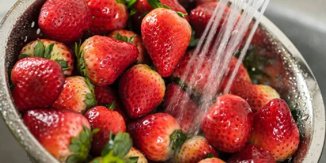 Sirke ve karbonat bile yetersiz kalıyor! Pestisiti kökünden temizleyen en etkili yöntem: Etkisi uzmanlarca kanıtlandı 2